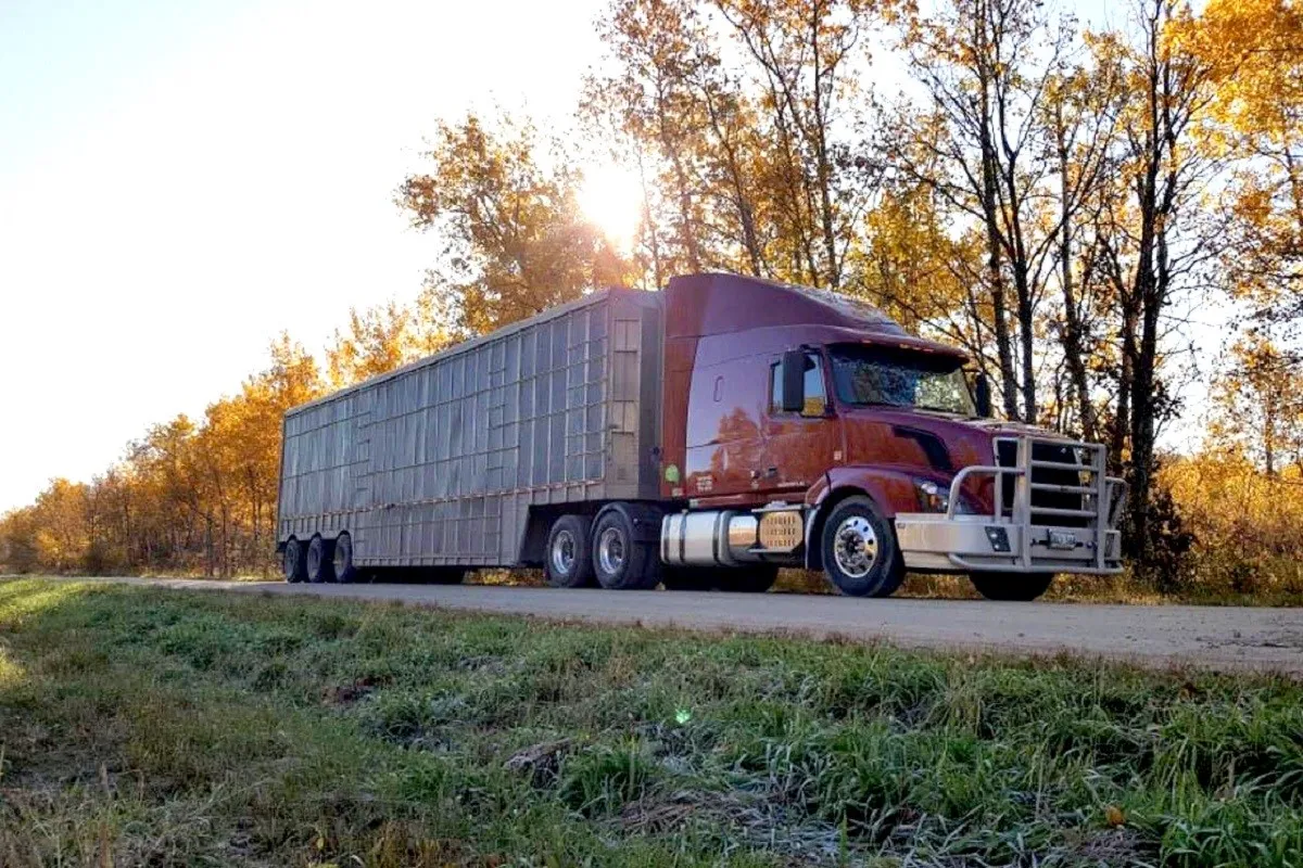 5a7e8753fa4d314ec64aad2d9ab66ccf 5a7e8753fa4d314ec64aad2d9ab66ccf