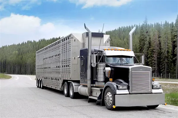 VCG41N533747131 VCG41N533747131