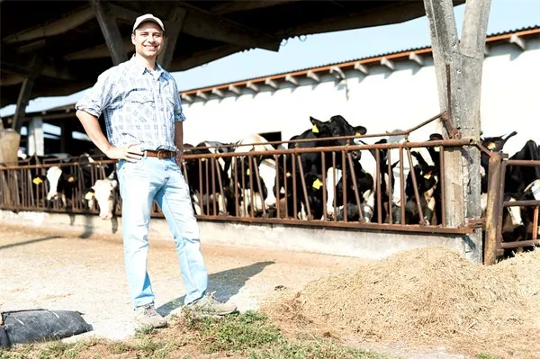 VCG41N666378854 VCG41N666378854