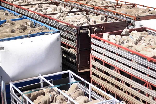 VCG41110653098 VCG41110653098