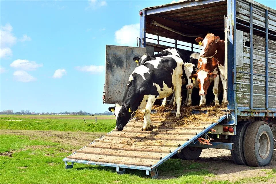Külgseinaga poolhaagis
