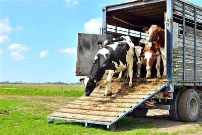 Külgseinaga poolhaagis