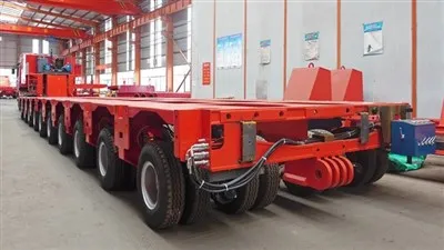 Modulaarne haagis, 5 rida 24 meetrit hanekelaga